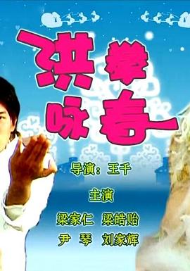 洪拳咏春海报剧照