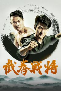 截拳战将海报剧照