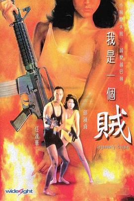 我是一个贼海报剧照