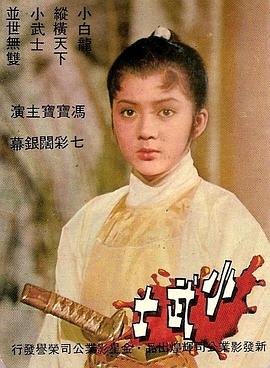 小武士海报剧照