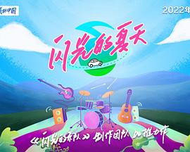 闪光的夏天海报剧照