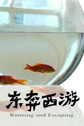 11度青春之《东奔西游》海报剧照