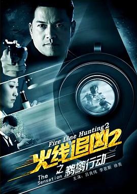 火线追凶2之鹈鹕行动海报剧照