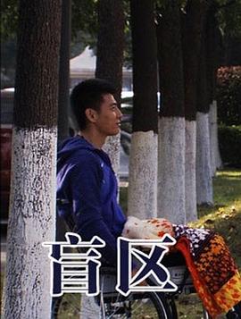 盲区海报剧照