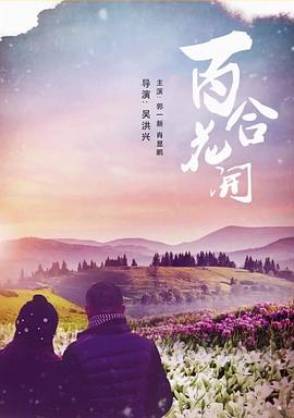 百合花开海报剧照