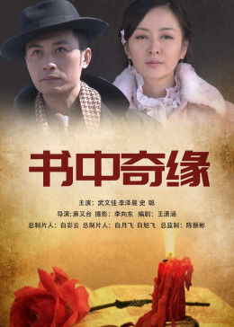 书中奇缘海报剧照