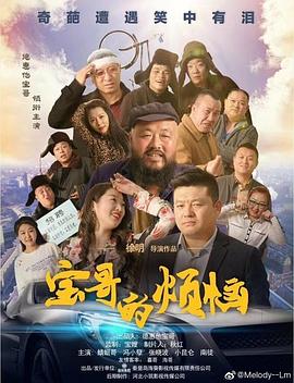宝哥的烦恼海报剧照