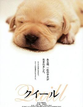 导盲犬小Q海报剧照