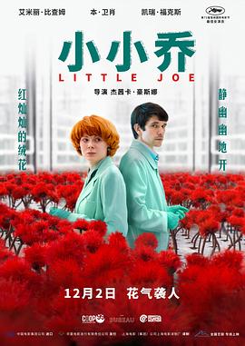 小小乔海报剧照