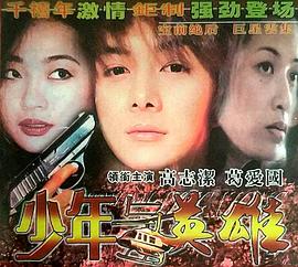少年与英雄海报剧照