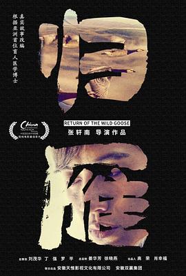 归雁海报剧照
