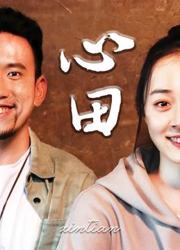 心田海报剧照