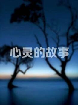 心灵的故事海报剧照