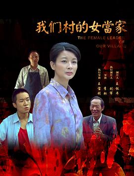 我们村的女当家海报剧照
