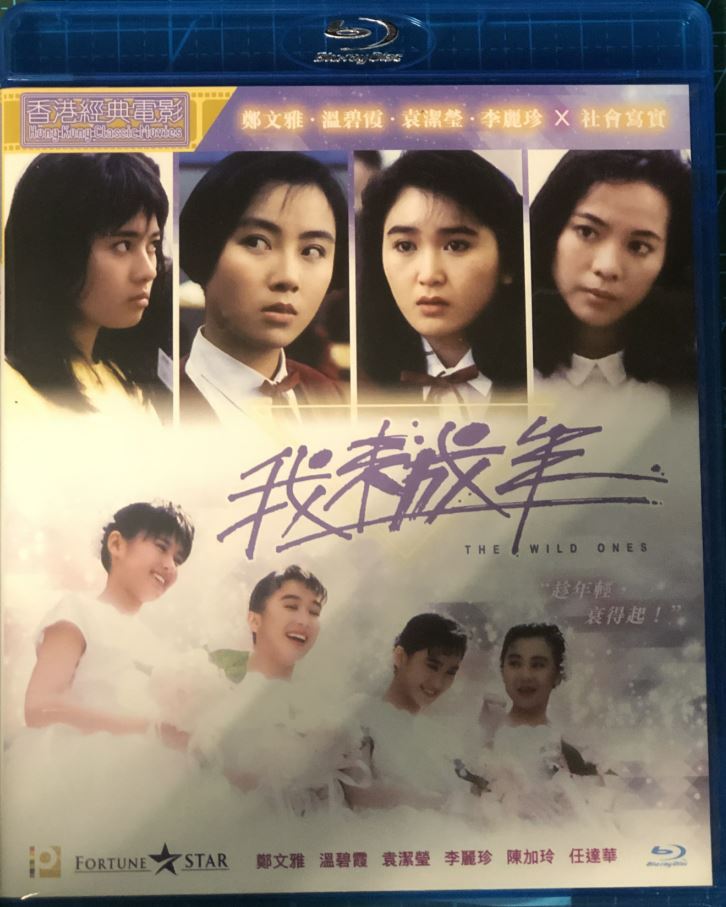 我未成年1989海报剧照