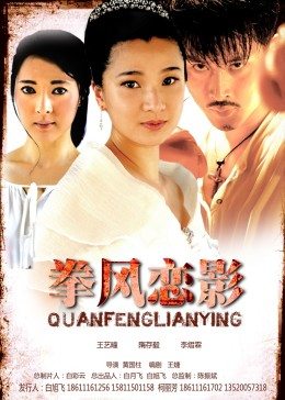 拳风恋影海报剧照