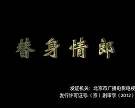替身情郎海报剧照