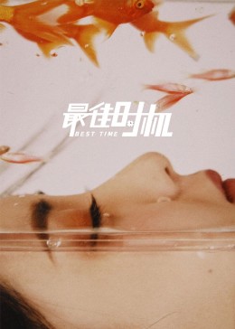最佳时机海报剧照