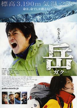 岳：冰峰救援海报剧照