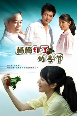 杨梅红了的季节海报剧照