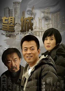望城海报剧照