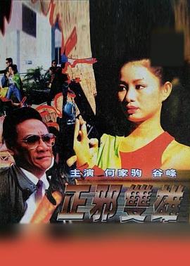 正邪双雄海报剧照