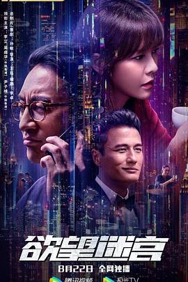 欲望迷宫海报剧照