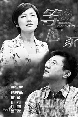 我在等你回家海报剧照