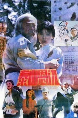 泰山恩仇海报剧照