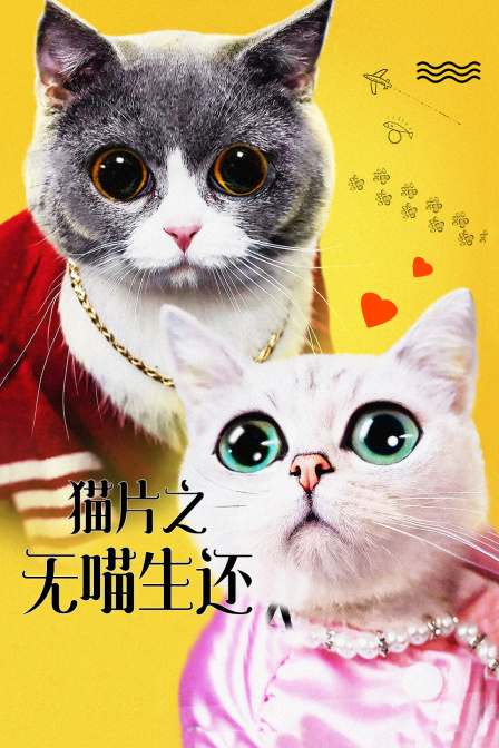猫片之无喵生还海报剧照
