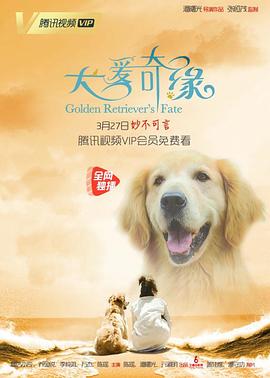 犬爱奇缘海报剧照