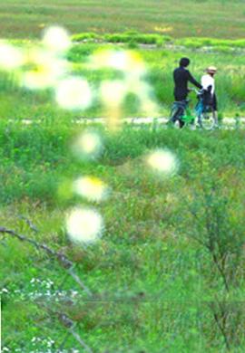 牵牛花海报剧照
