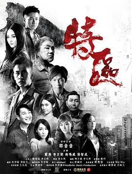 特区海报剧照