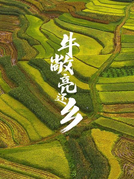 牛敞亮还乡海报剧照