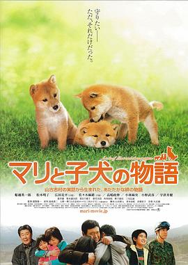 爱犬的奇迹海报剧照