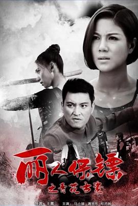 丽人保镖之青花古瓷海报剧照