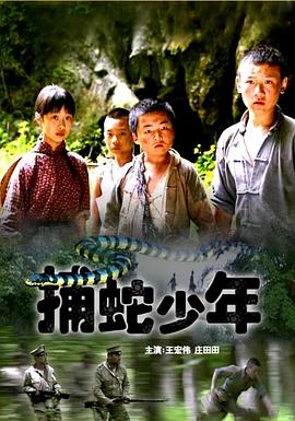 捕蛇少年海报剧照