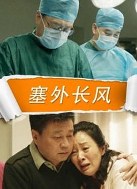 塞外长风海报剧照