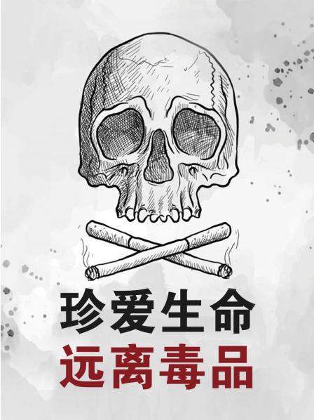 珍爱生命远离毒品海报剧照