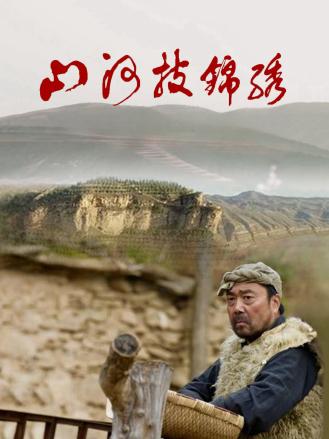山河披锦绣海报剧照