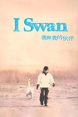 我和我的伙伴海报剧照