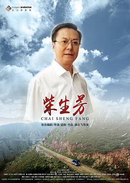 柴生芳海报剧照