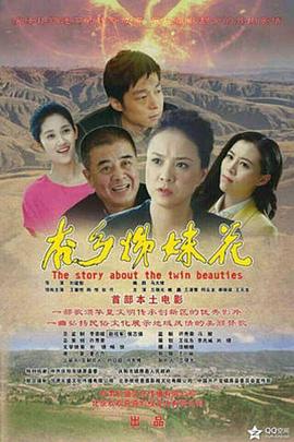 杏乡姊妹花海报剧照