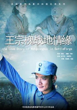 王宗槐战地情缘海报剧照