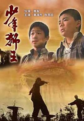 少年狮王海报剧照