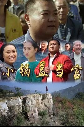 小锅盖当官海报剧照