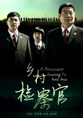 乡村检察官海报剧照