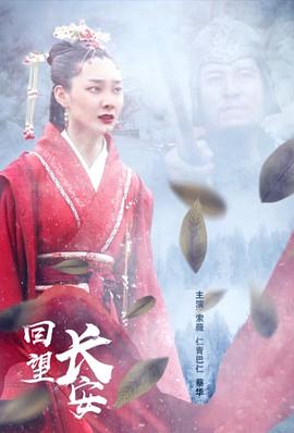 回望长安海报剧照