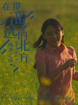 在那遥远的北方海报剧照