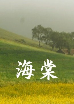 海棠海报剧照
